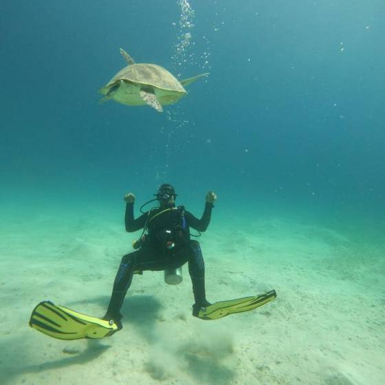 Marsa Alam Mr.Grand s korytnačkou Marsa Alam potapanie Ahmed Grand s korytnačkou