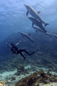 Fanous lokalita na potapanie pri Hurghade s delfinmi