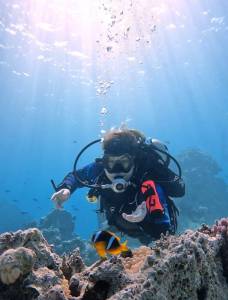 fanadir potapacska lokalita pri Hurghade