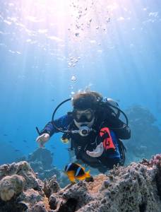 fanadir potapacska lokalita pri Hurghade