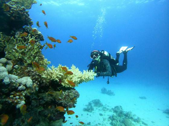 útesy v okolí Hurghady Grand Divers