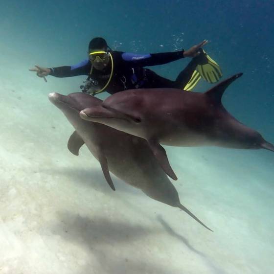 Ahmed s delfínmi Grand Divers potápanie s delfínmi Ahmed Grand Divers