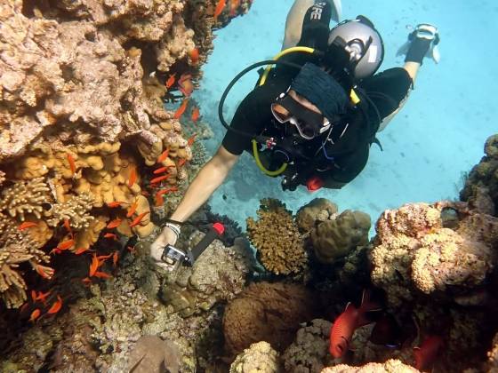 denné potápanie Hurghada s Grand Divers