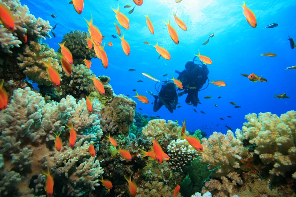 discover scuba diving