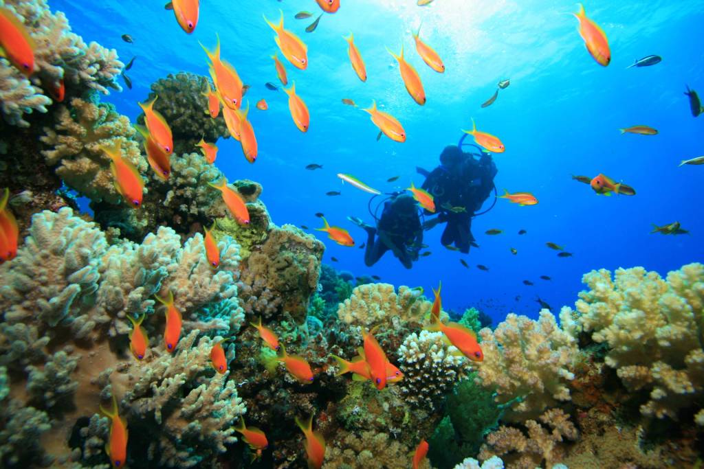 discover scuba diving