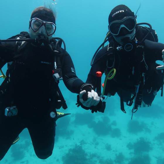 enjoy liveaboard diving