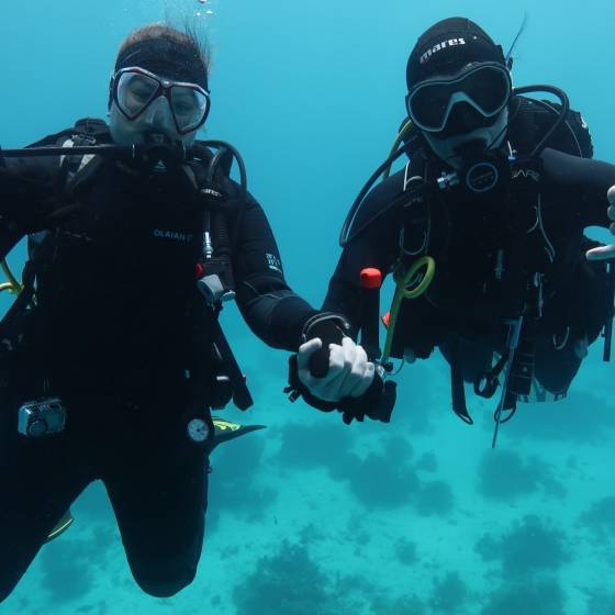 safari diving buddy system enjoy liveaboard diving