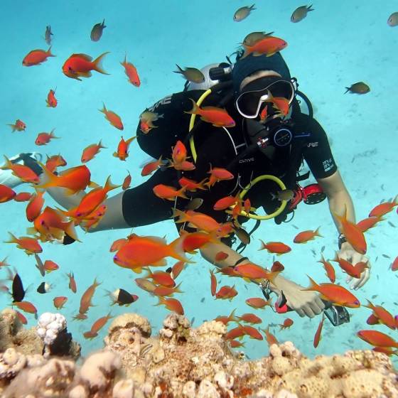 eva scubadiver Egypt Eva Grand Divers