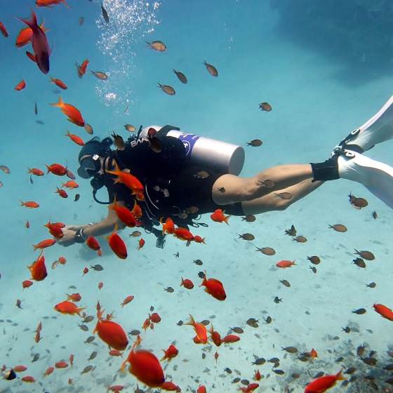 podmienky na potapanie v Hurghade Grand Divers
