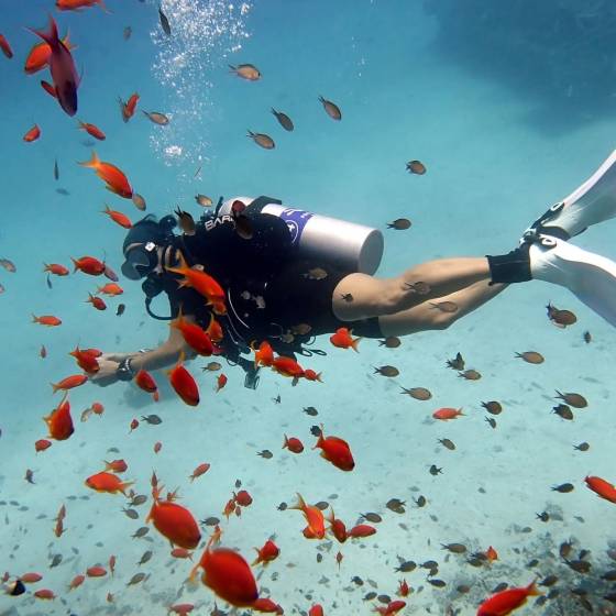 potápanie Červené more marinelife Eva Eva Grand Divers