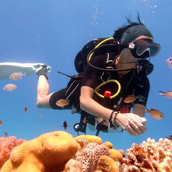 potápanie Červené more Eva Eva Grand Divers