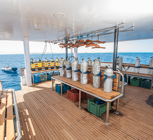 MV Tala wet zone safari