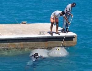 search and recovery course Egypt