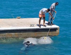 search and recovery course Egypt