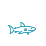 shark