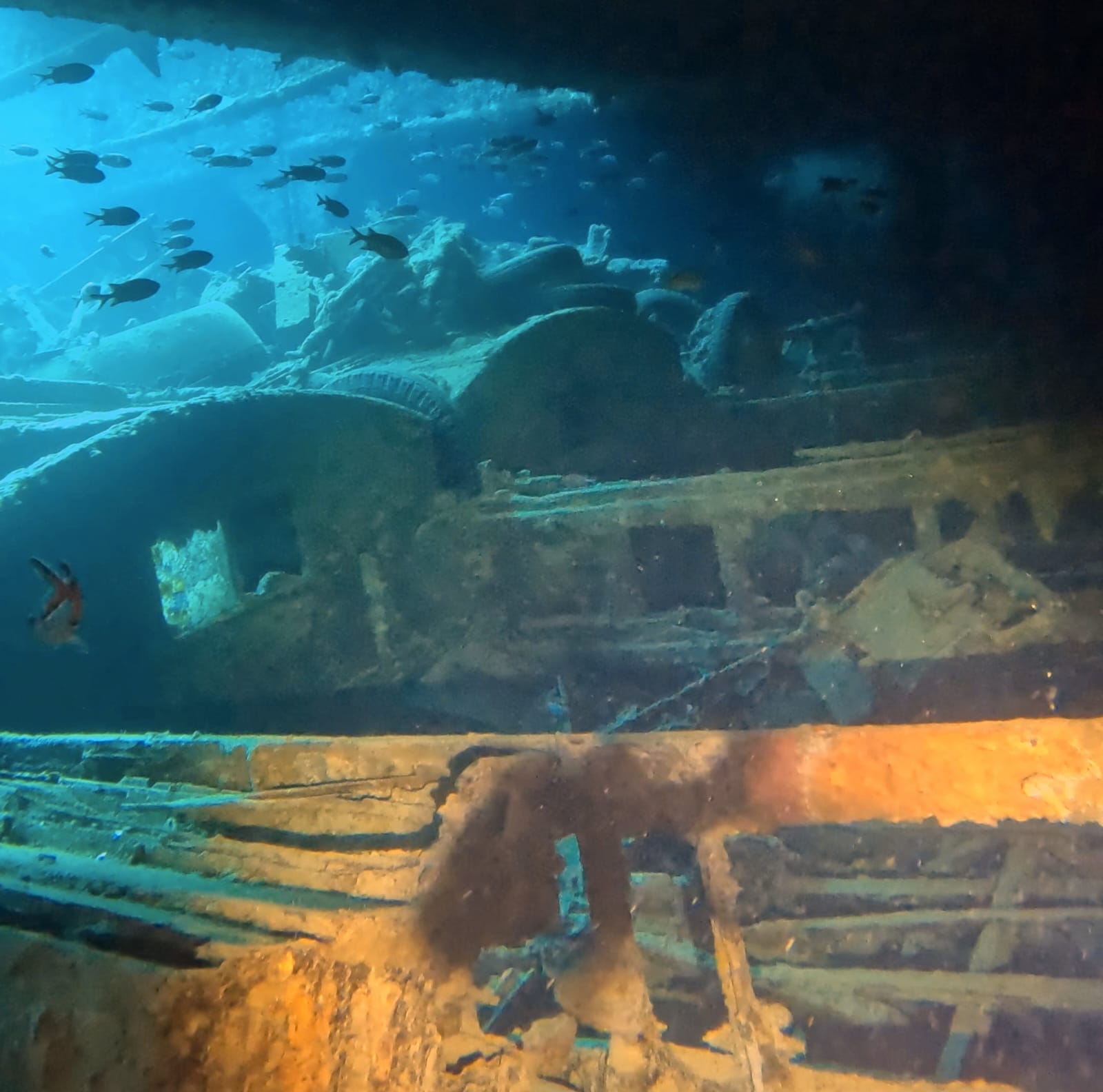 thistlegorm